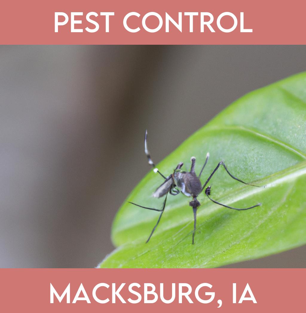 pest control in Macksburg Iowa