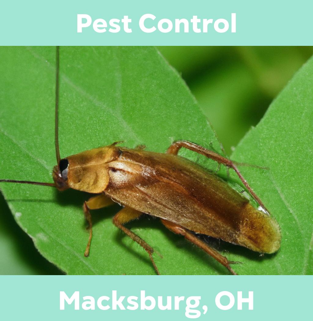 pest control in Macksburg Ohio