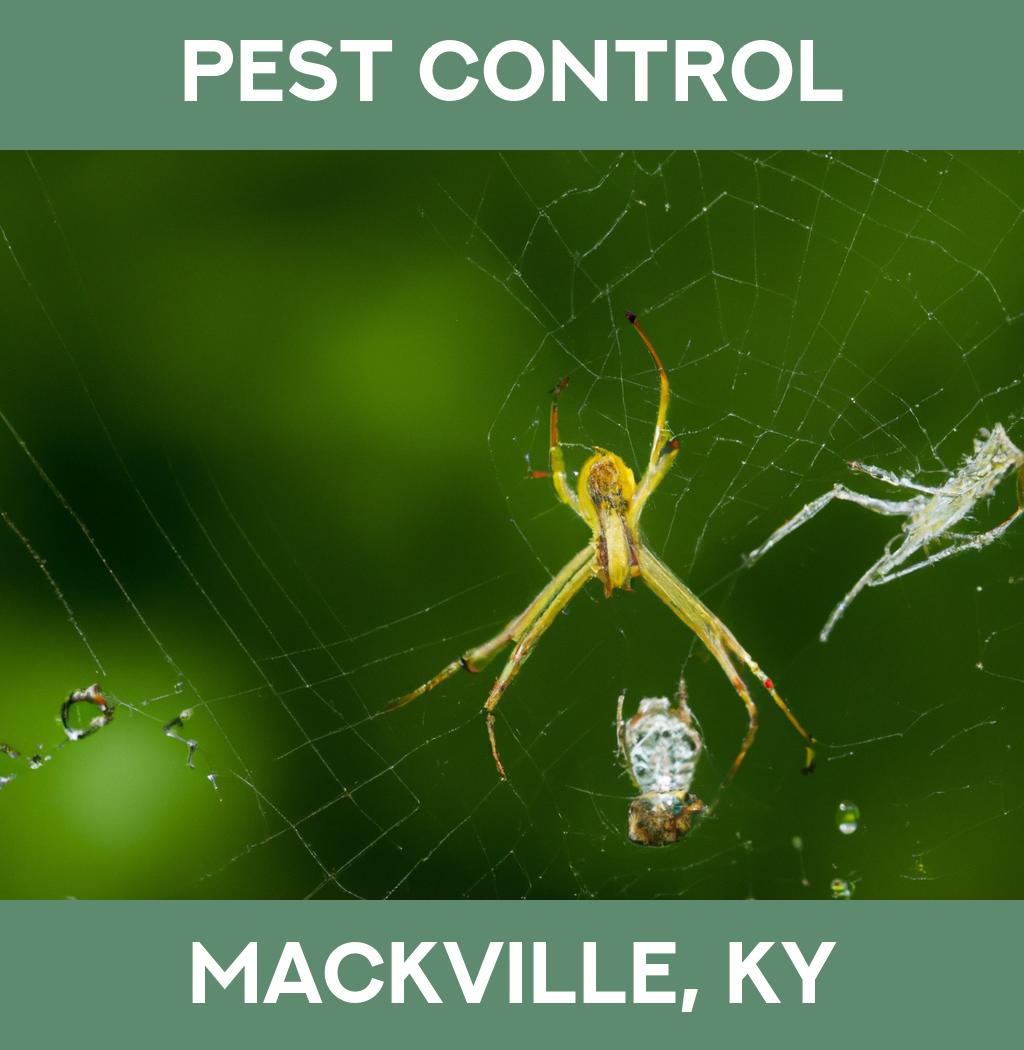 pest control in Mackville Kentucky
