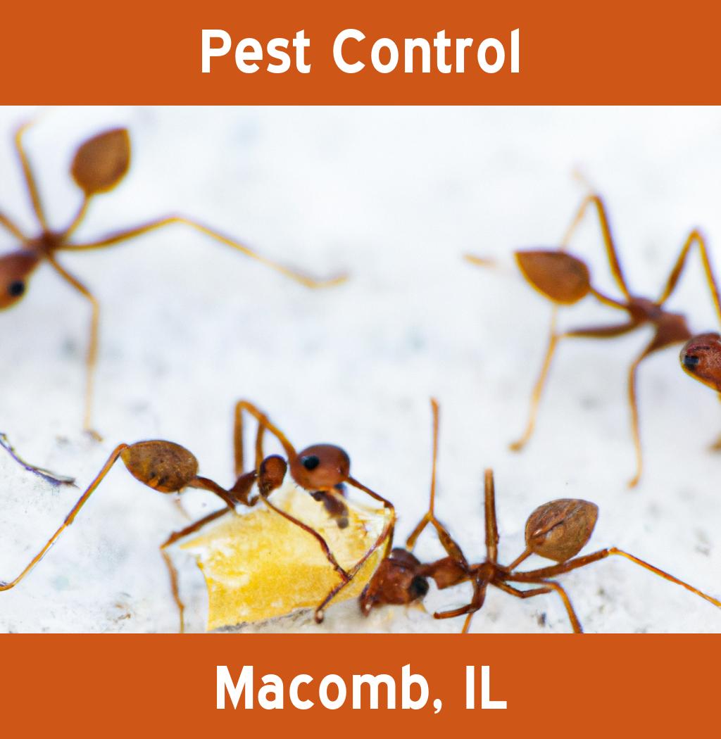 pest control in Macomb Illinois