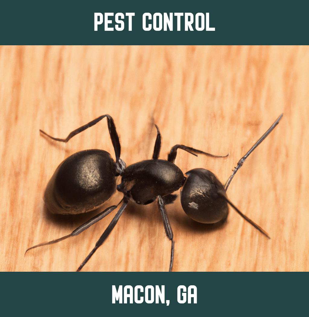pest control in Macon Georgia