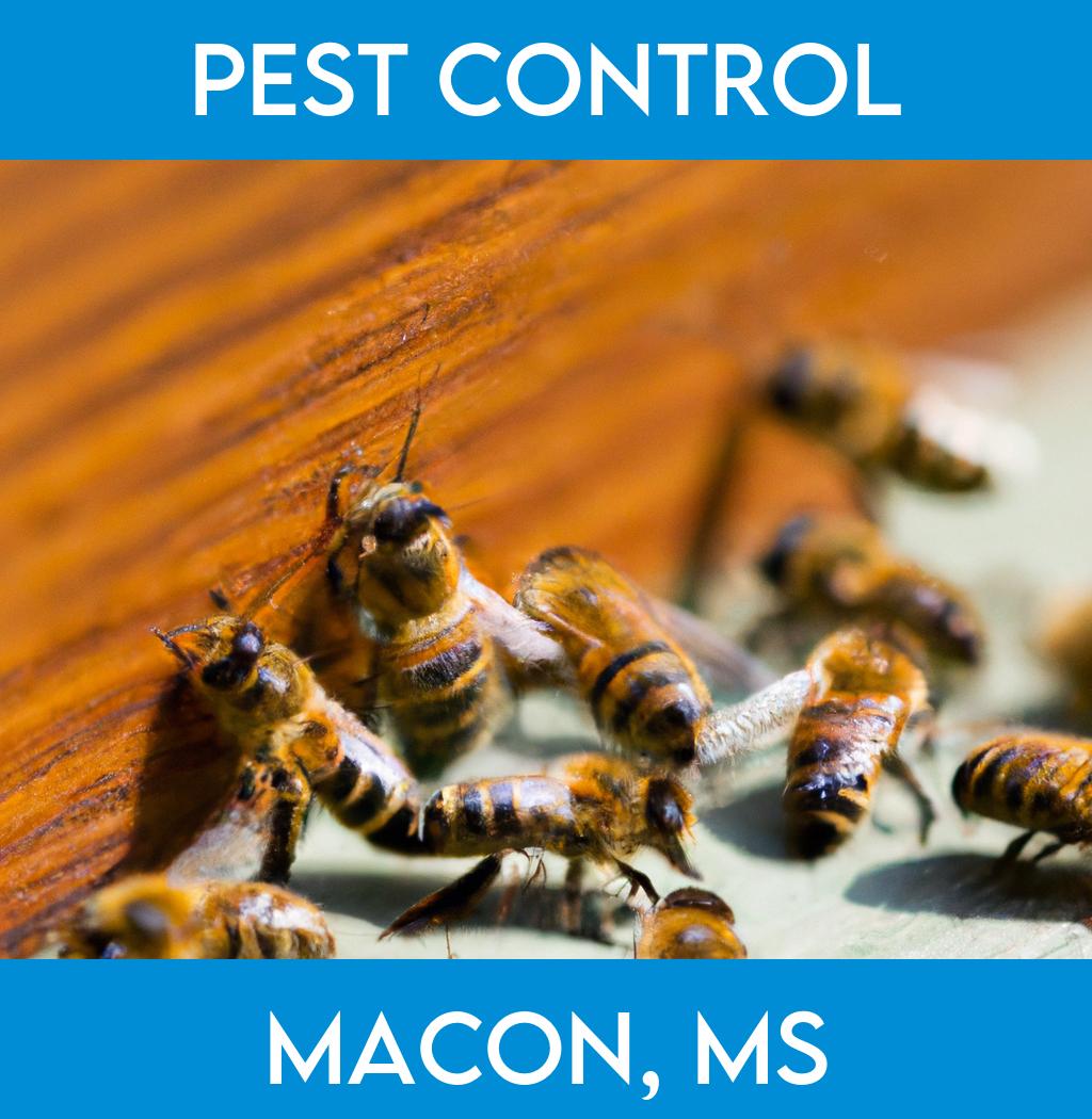 pest control in Macon Mississippi
