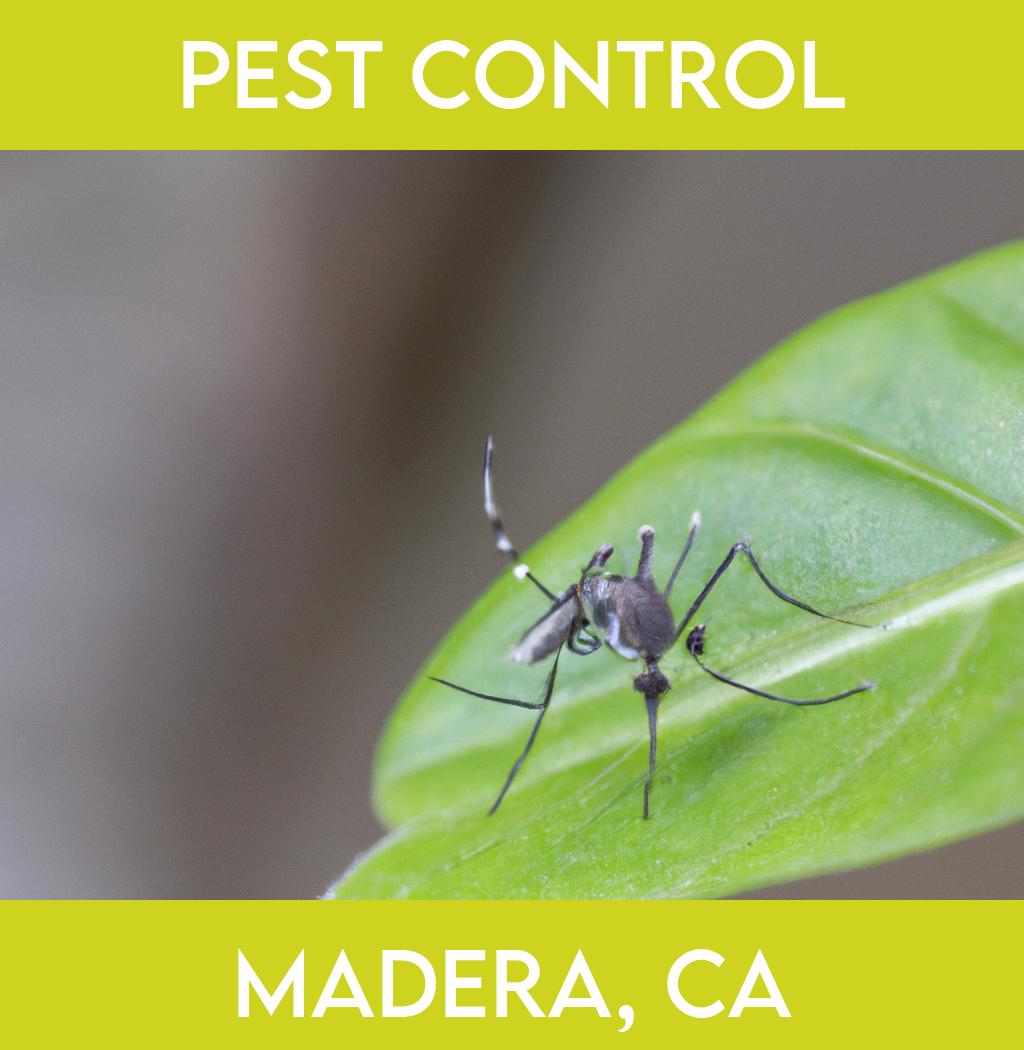 pest control in Madera California