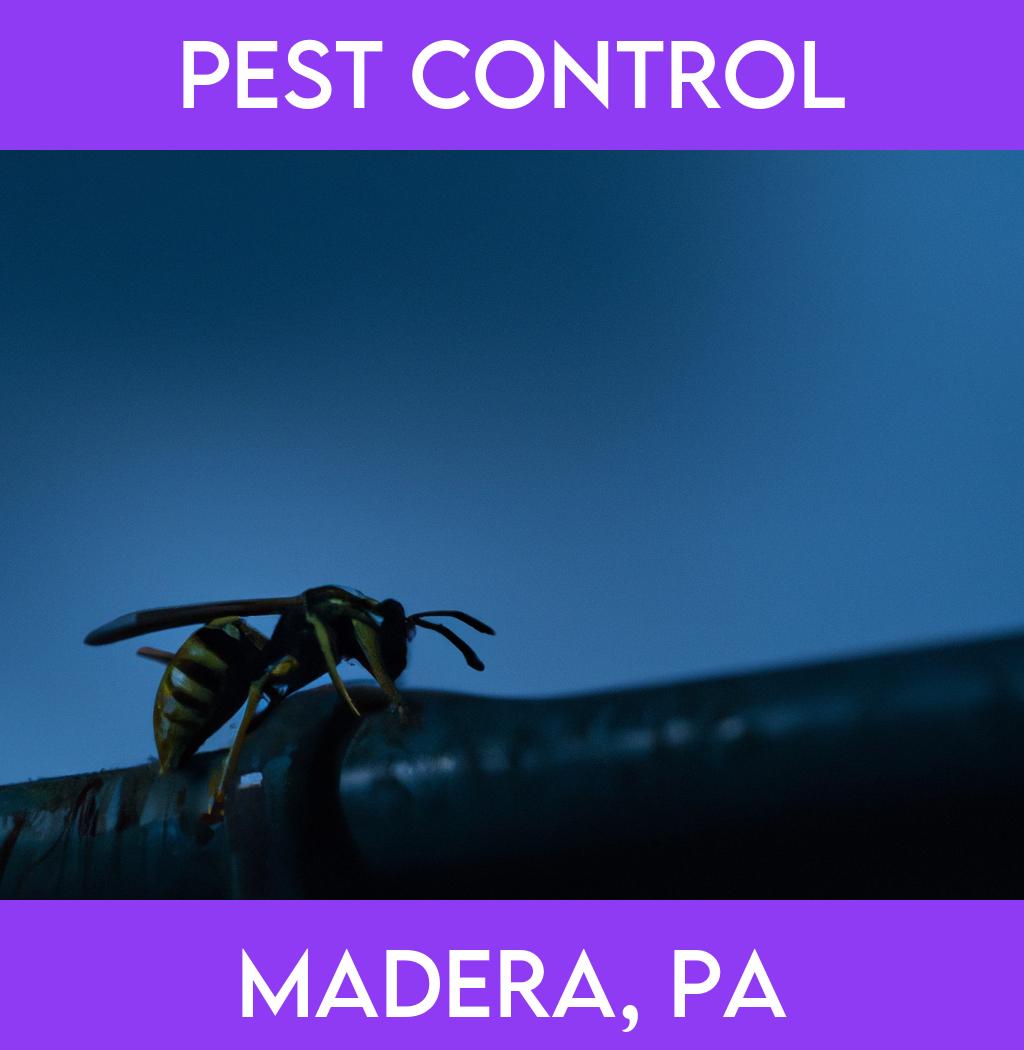 pest control in Madera Pennsylvania