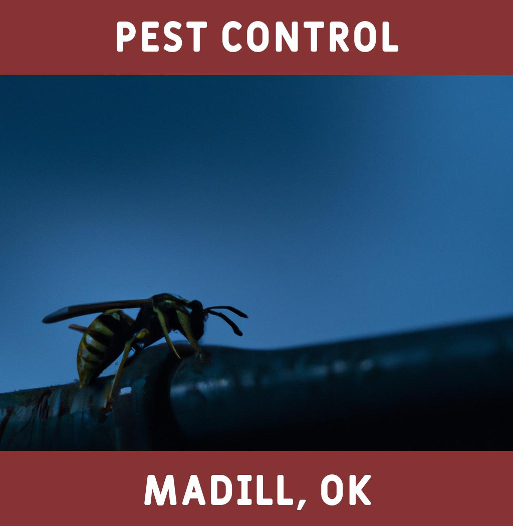 pest control in Madill Oklahoma