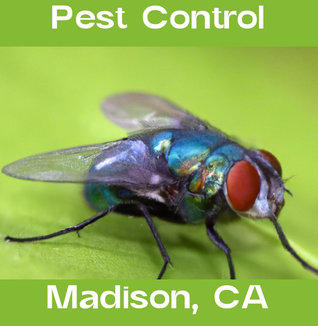 pest control in Madison California