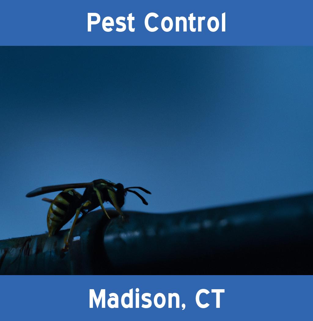 pest control in Madison Connecticut