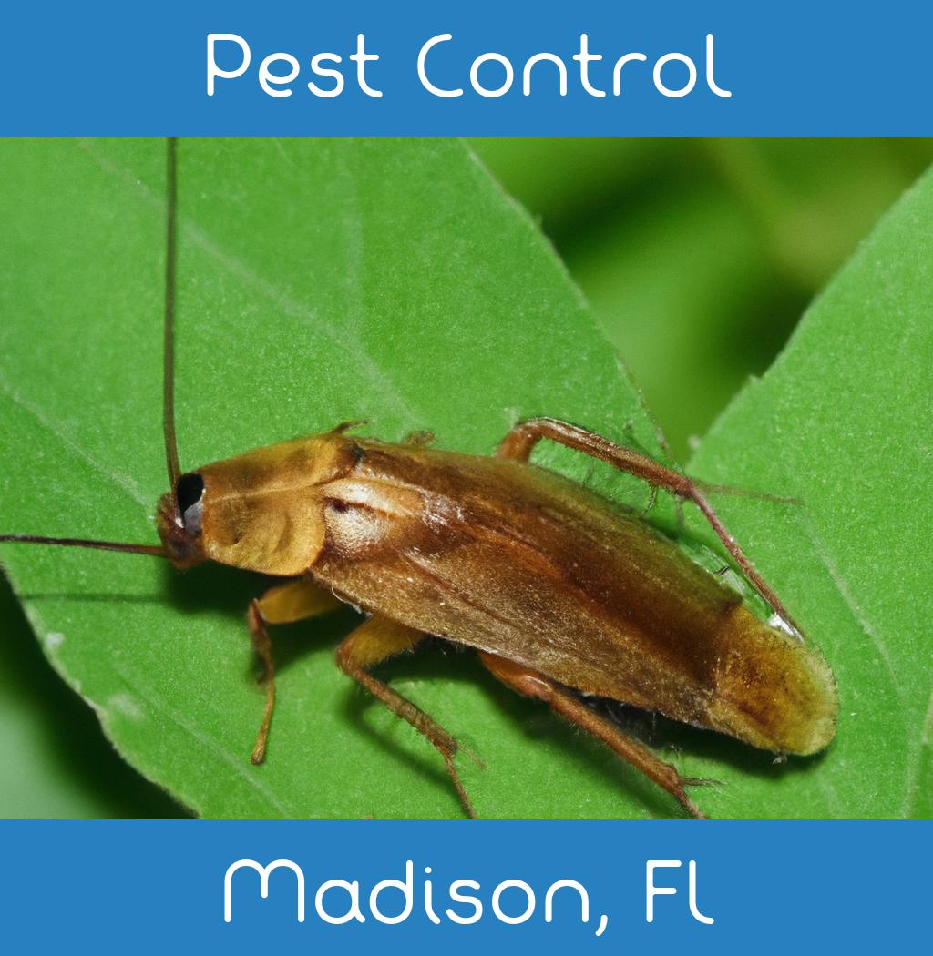 pest control in Madison Florida