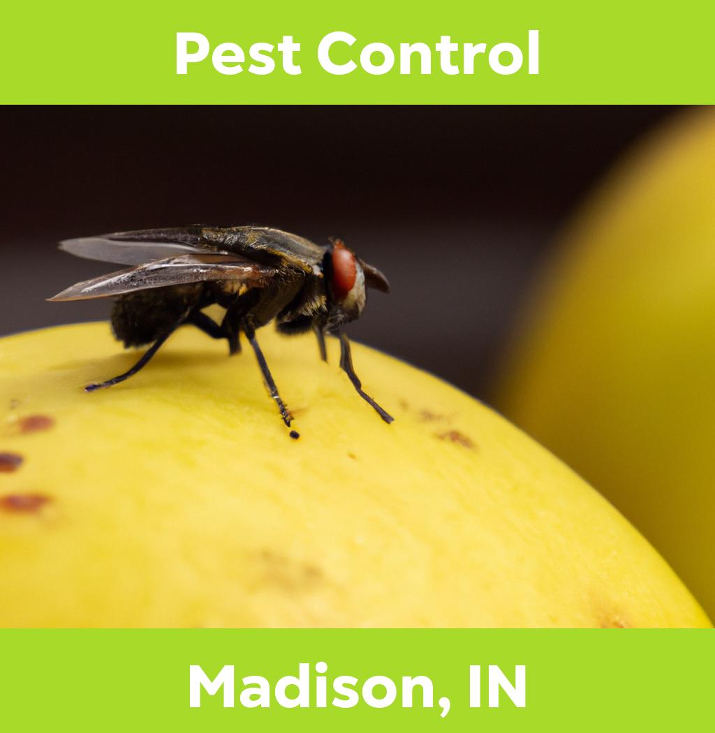 pest control in Madison Indiana