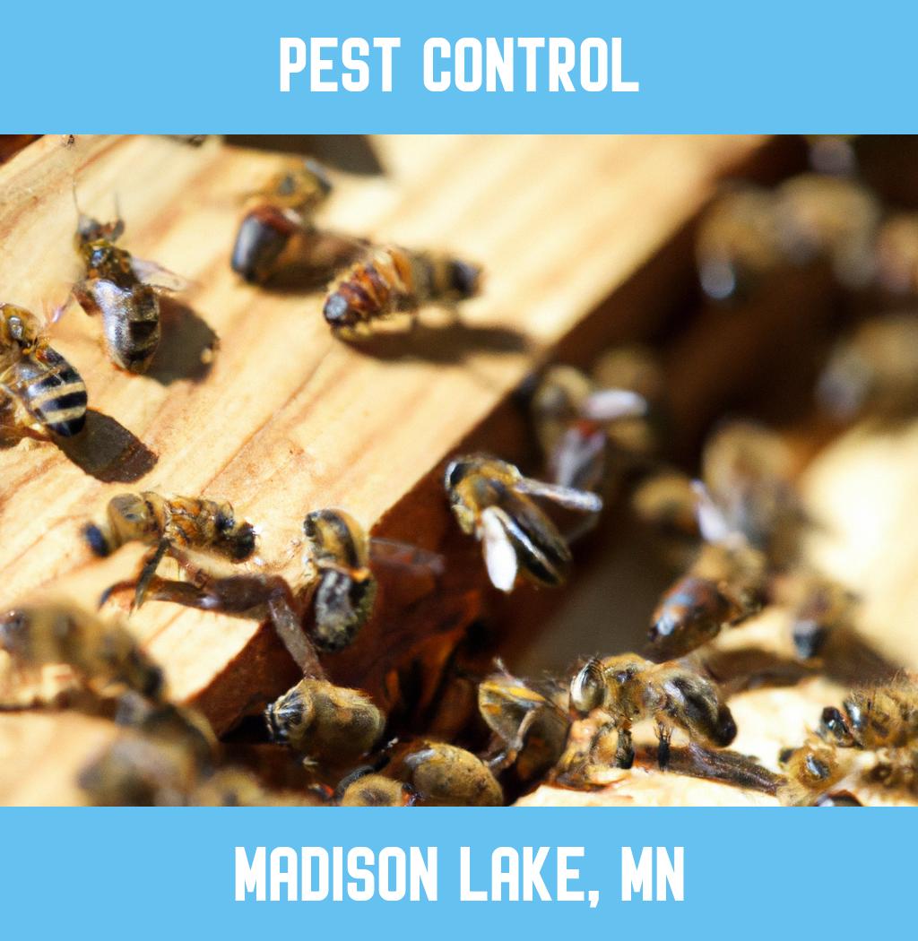 pest control in Madison Lake Minnesota