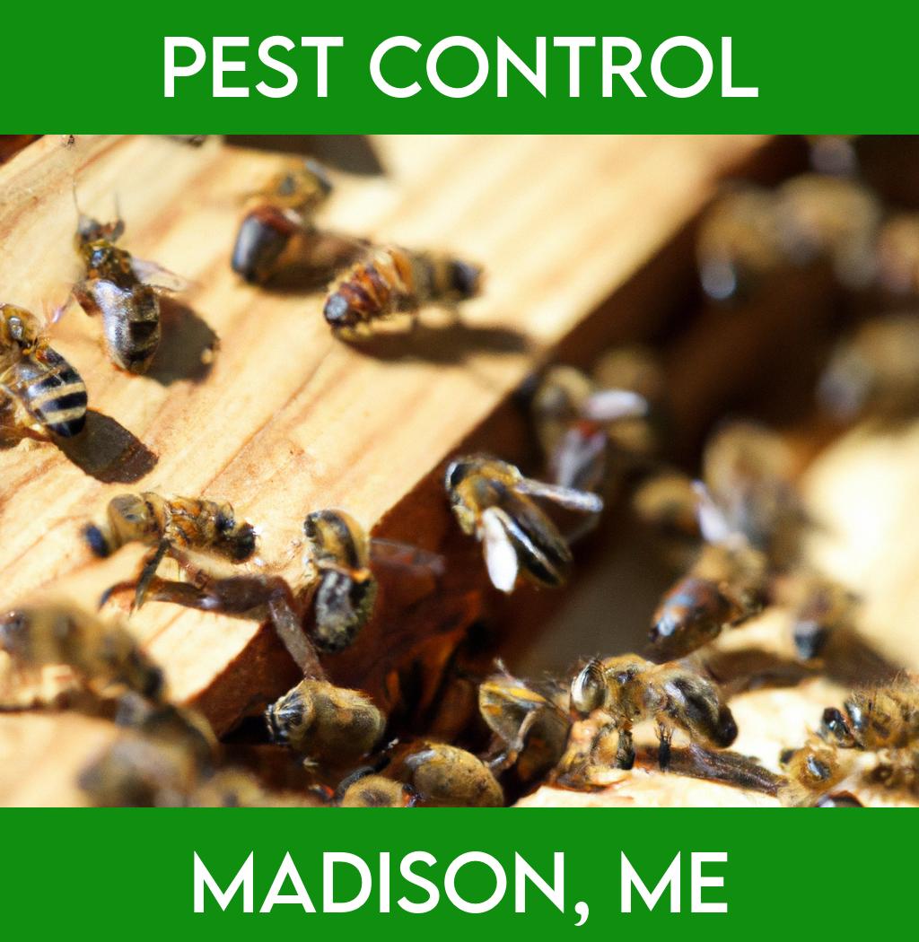 pest control in Madison Maine