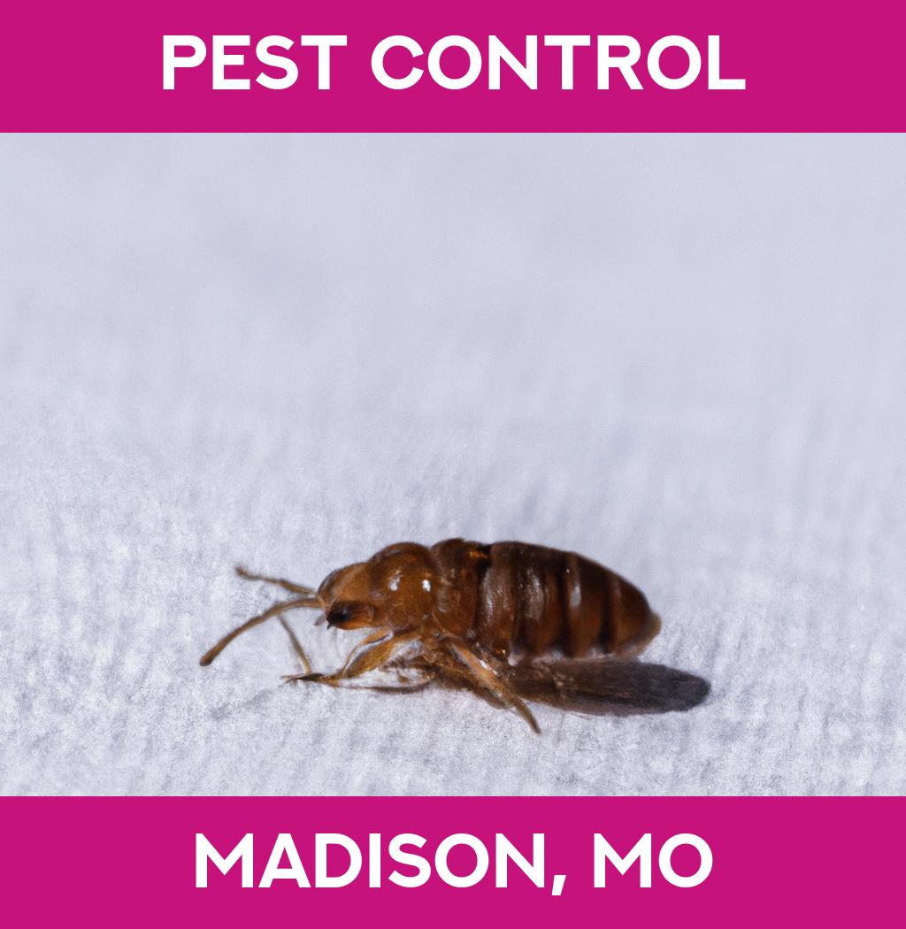 pest control in Madison Missouri