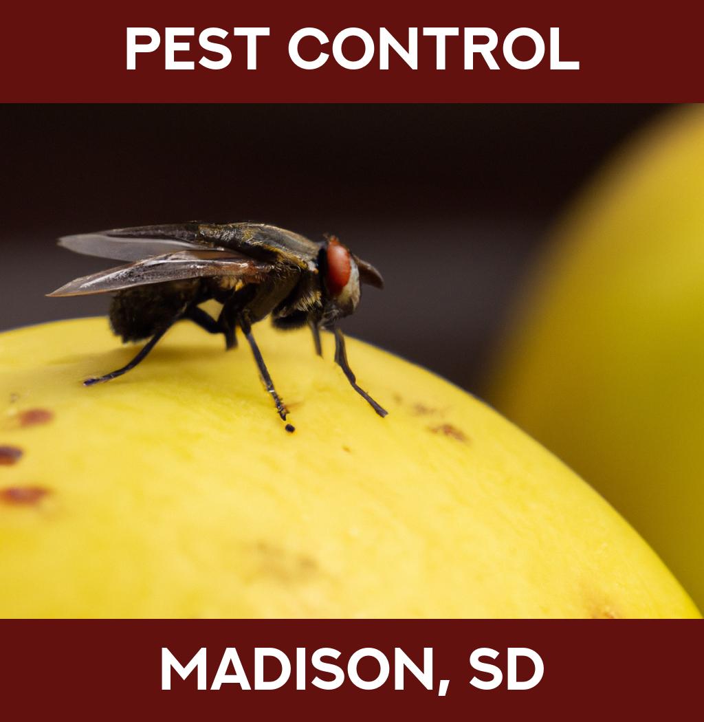 pest control in Madison South Dakota
