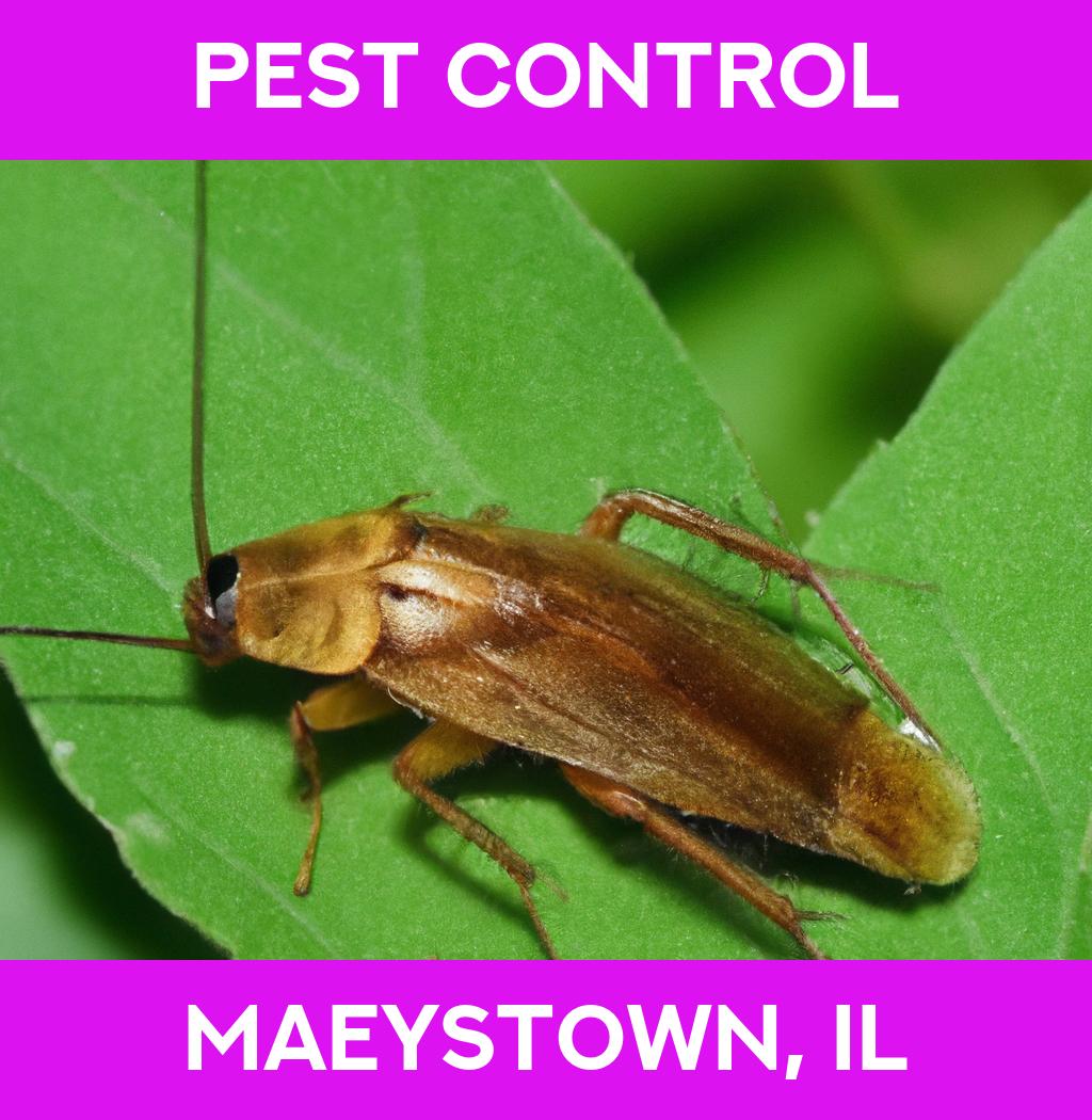 pest control in Maeystown Illinois