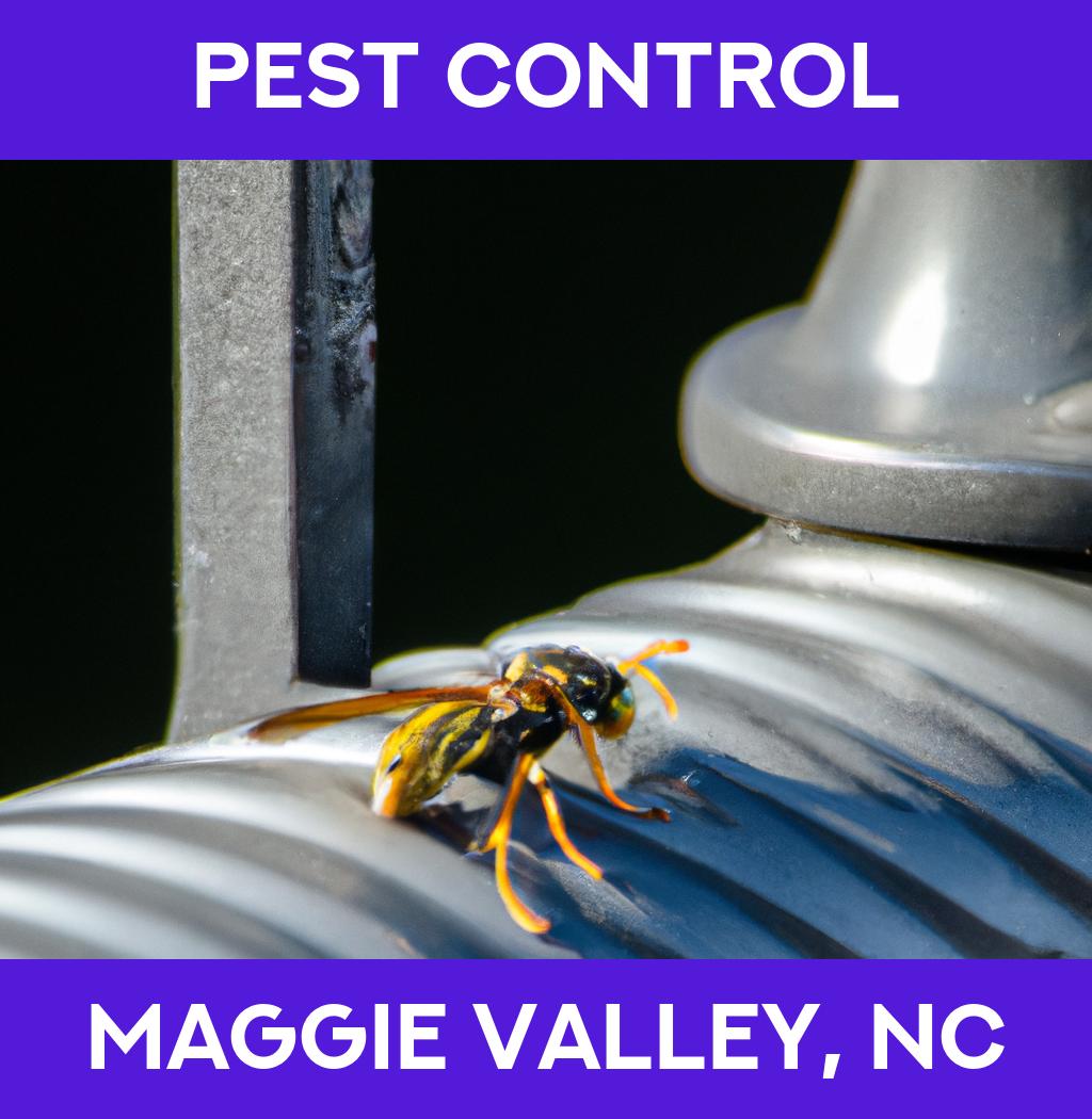 pest control in Maggie Valley North Carolina