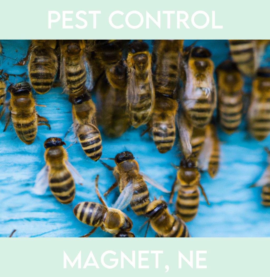 pest control in Magnet Nebraska