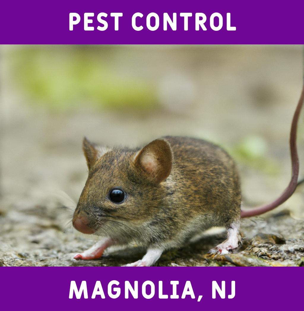 pest control in Magnolia New Jersey