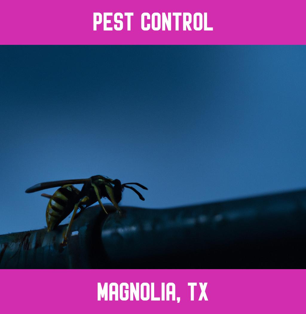 pest control in Magnolia Texas