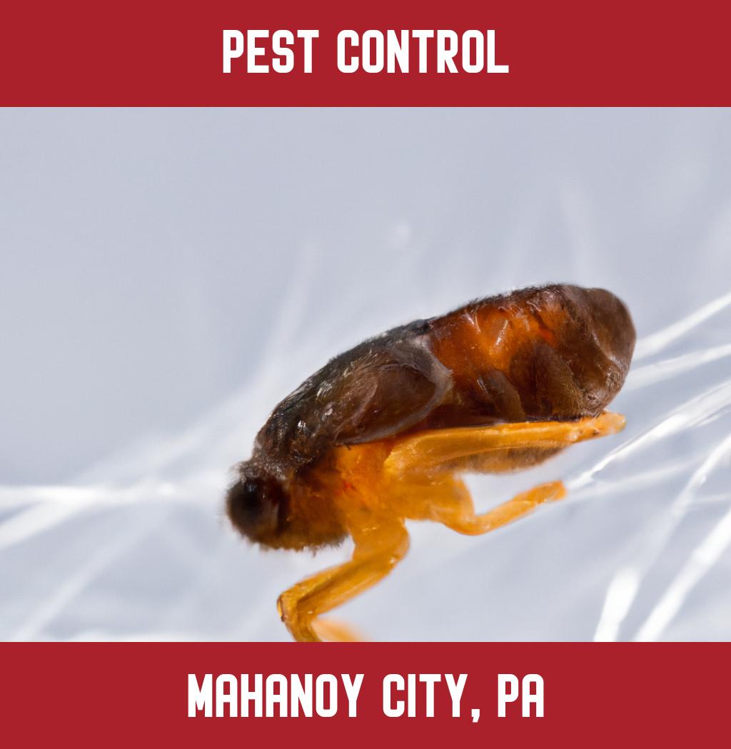 pest control in Mahanoy City Pennsylvania