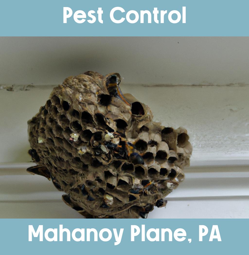pest control in Mahanoy Plane Pennsylvania