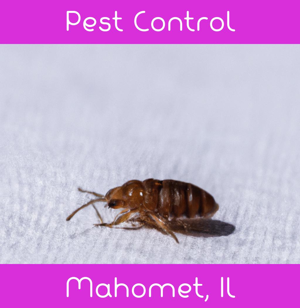pest control in Mahomet Illinois