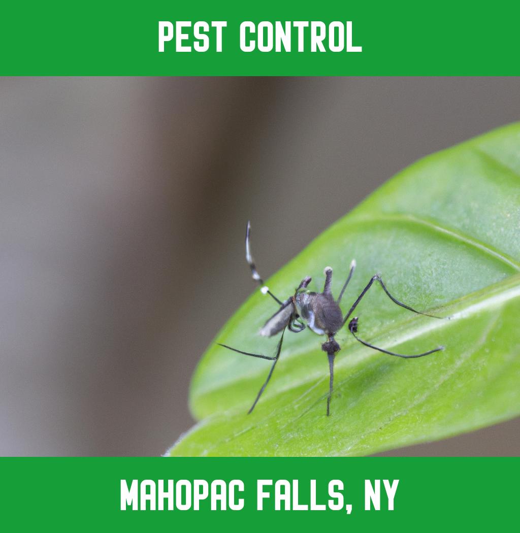 pest control in Mahopac Falls New York