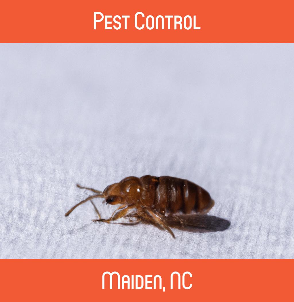 pest control in Maiden North Carolina