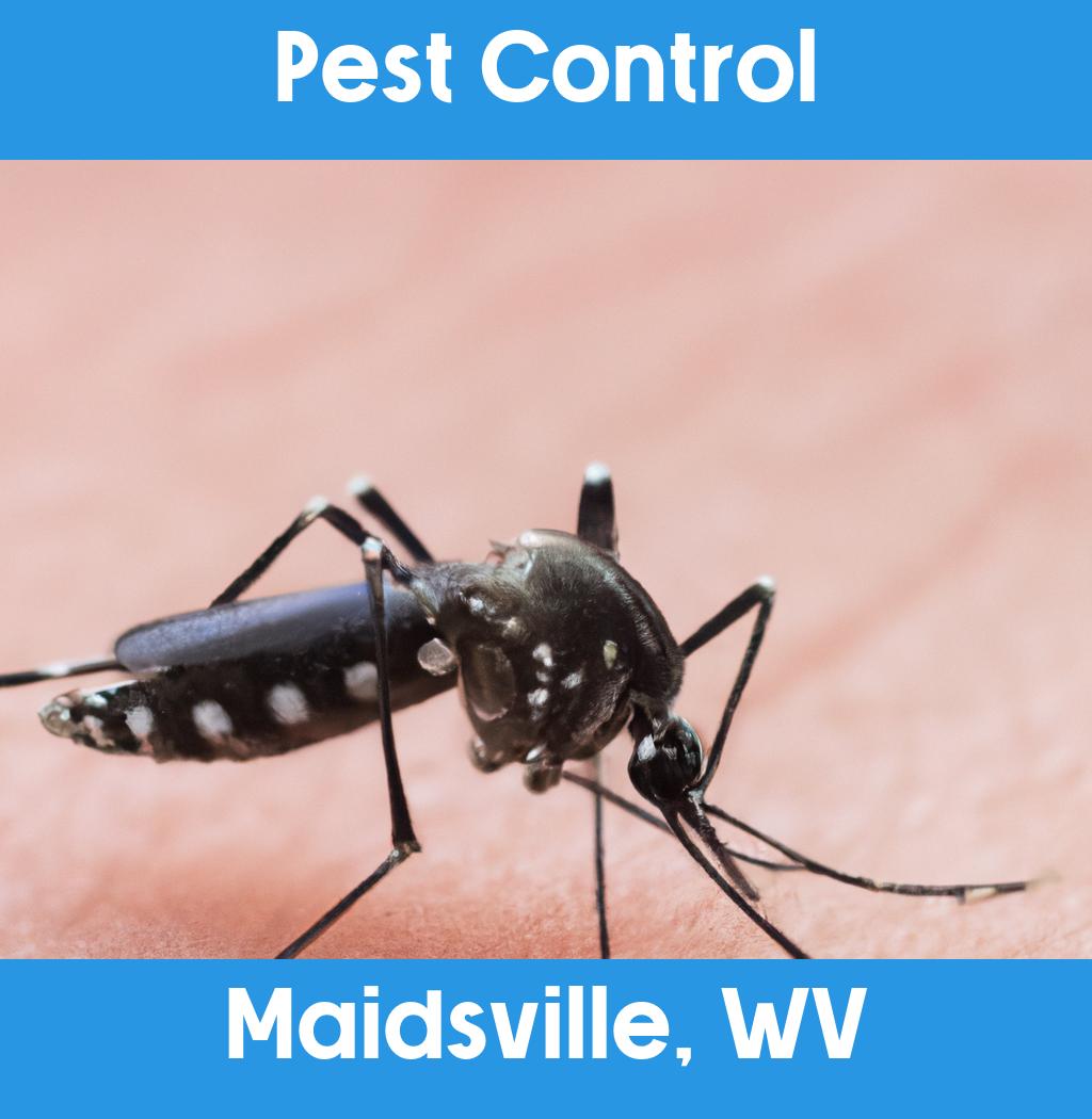 pest control in Maidsville West Virginia