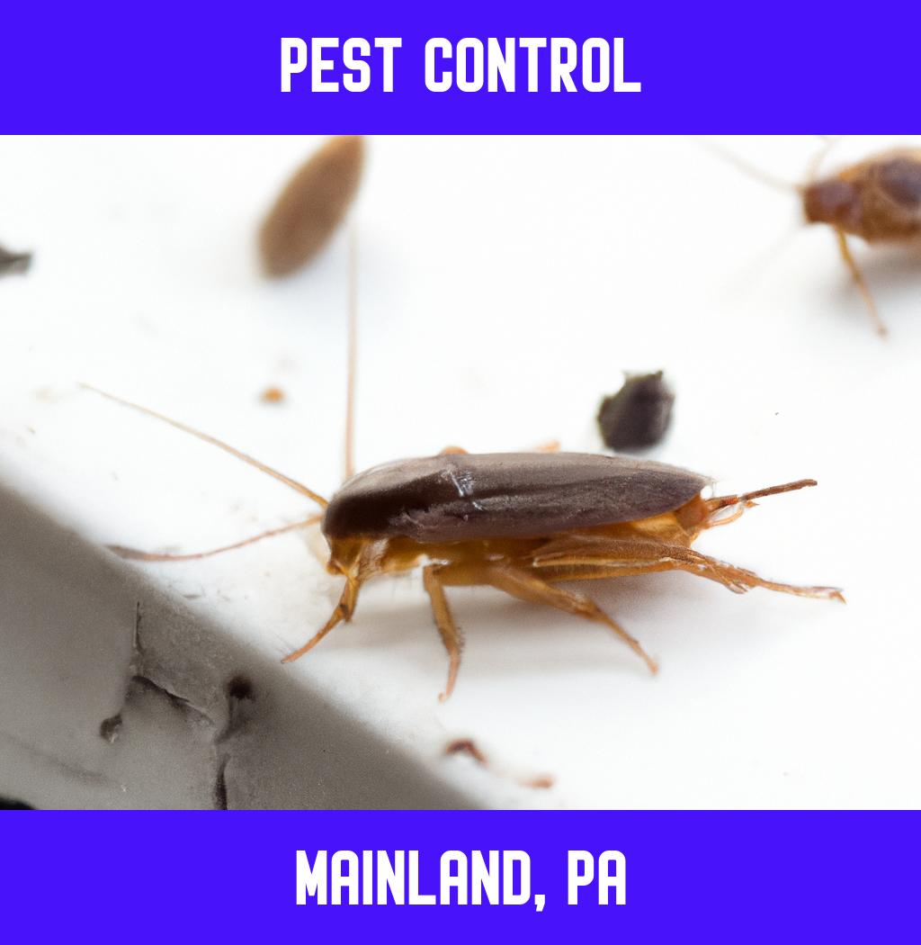 pest control in Mainland Pennsylvania