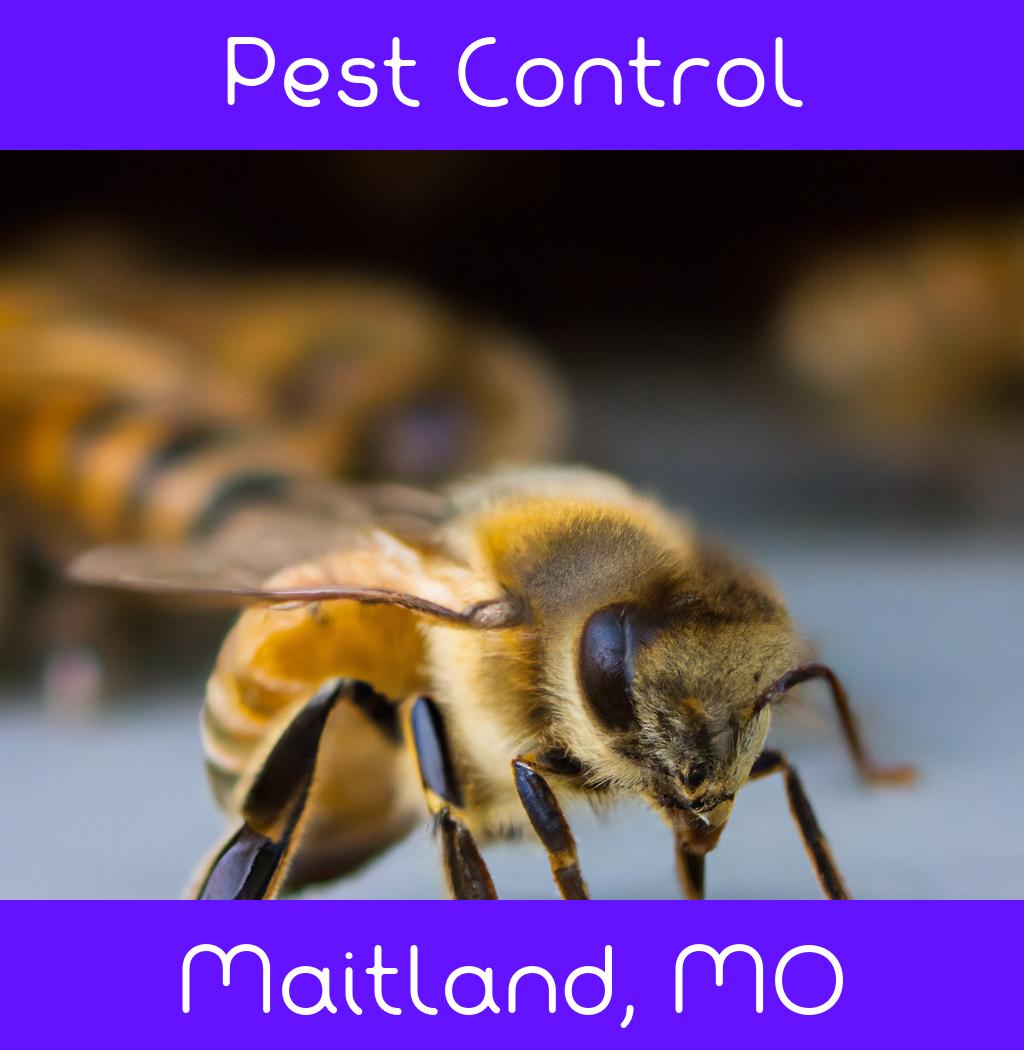 pest control in Maitland Missouri