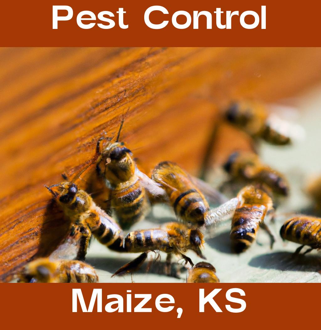 pest control in Maize Kansas
