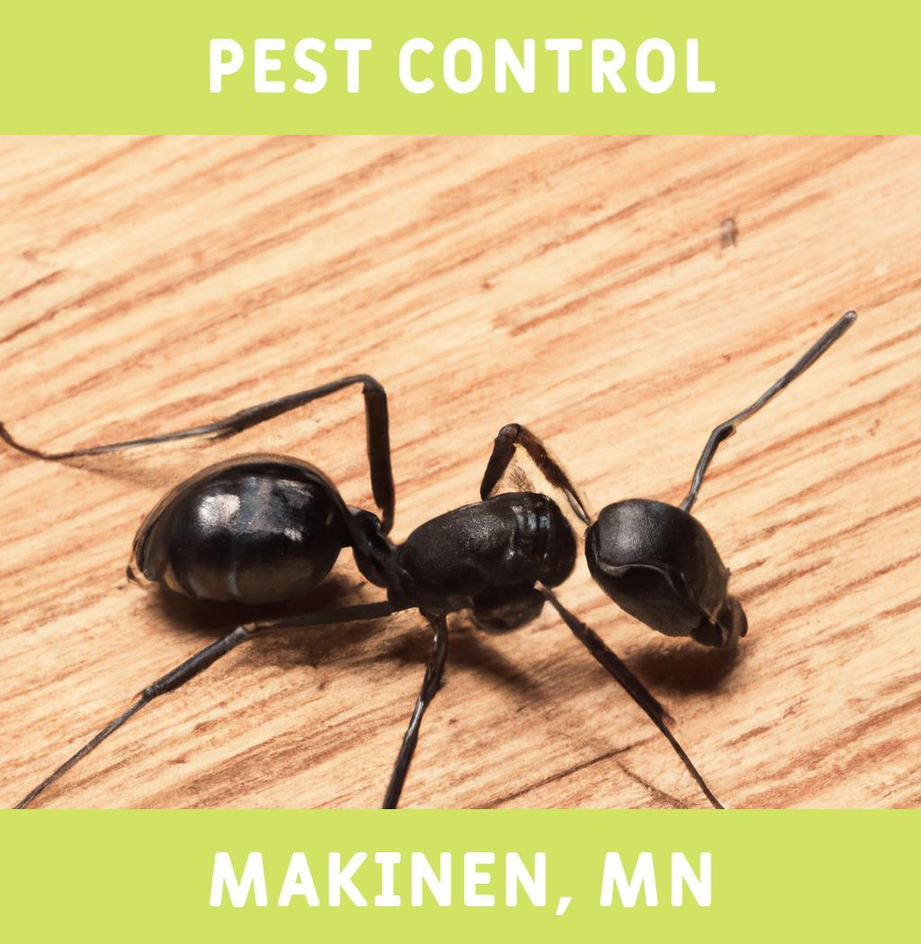 pest control in Makinen Minnesota