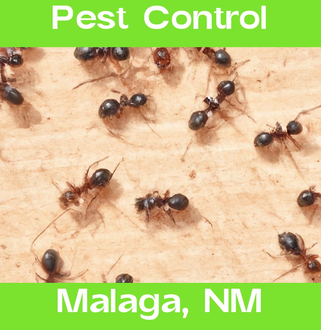 pest control in Malaga New Mexico
