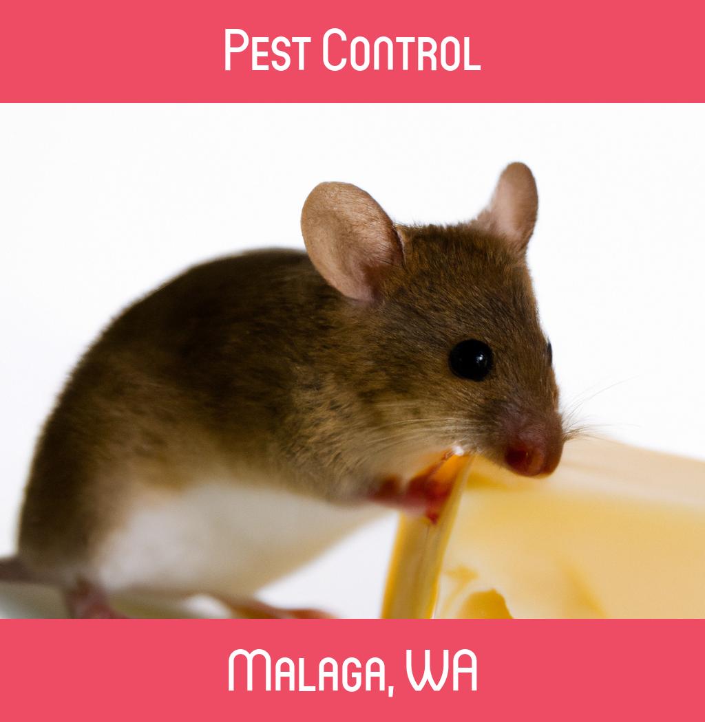 pest control in Malaga Washington