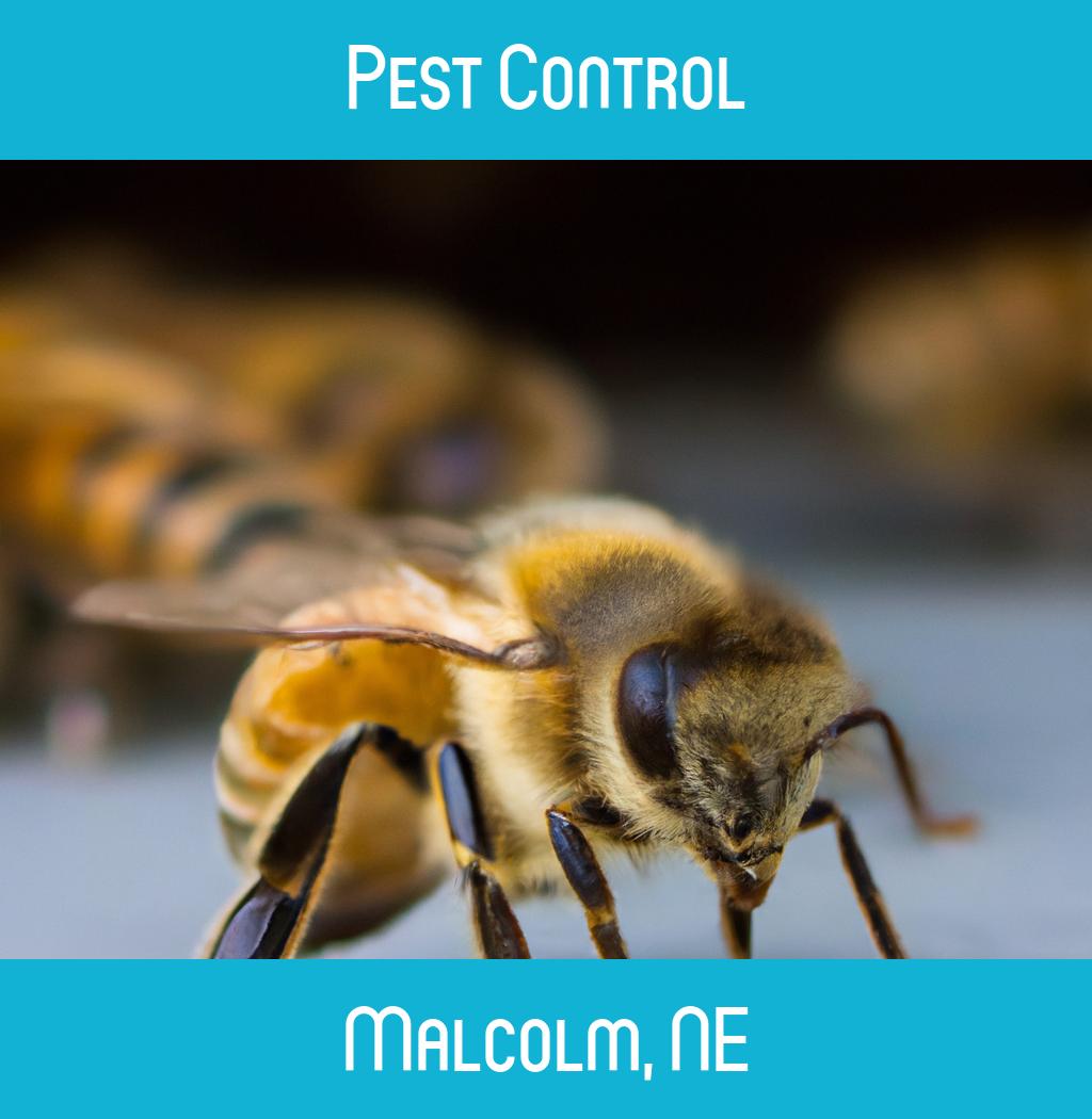 pest control in Malcolm Nebraska