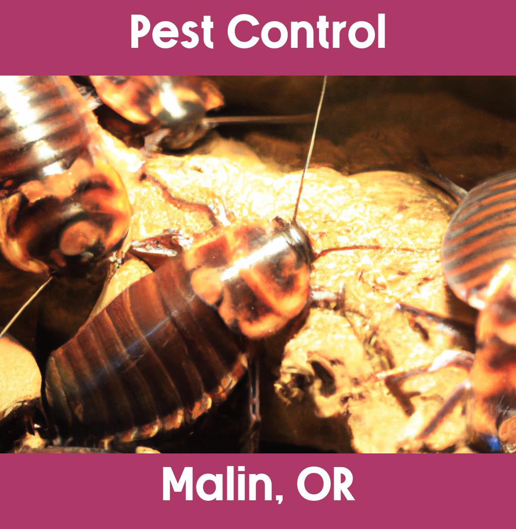 pest control in Malin Oregon