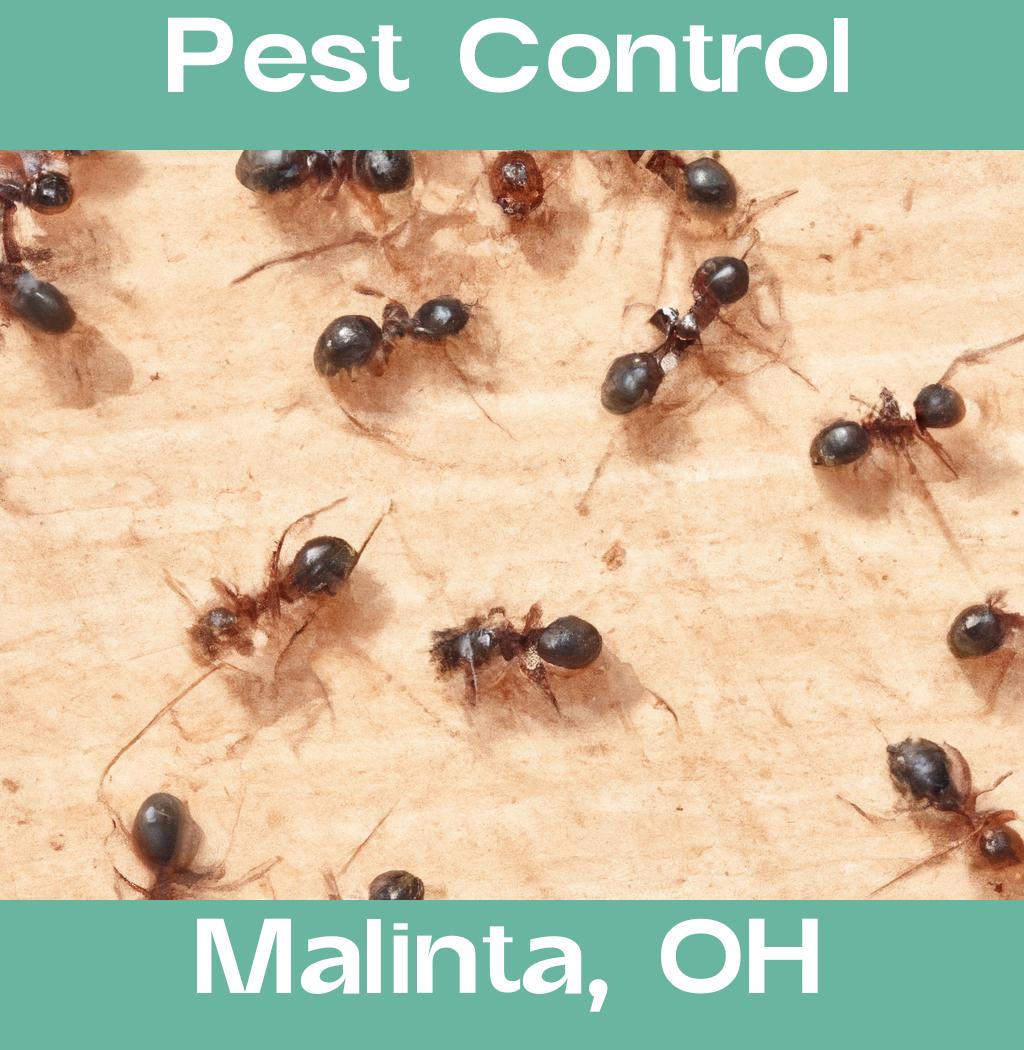 pest control in Malinta Ohio