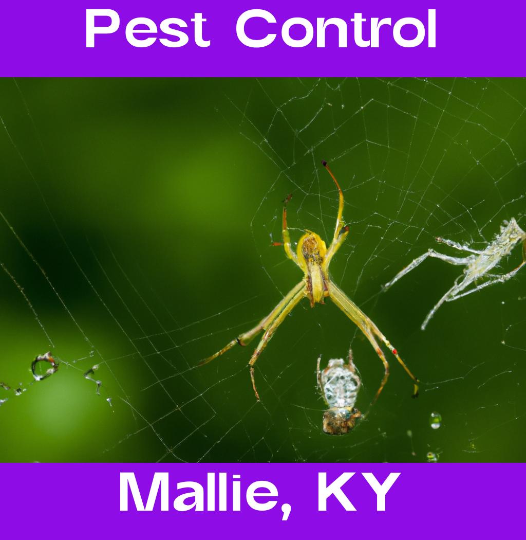 pest control in Mallie Kentucky