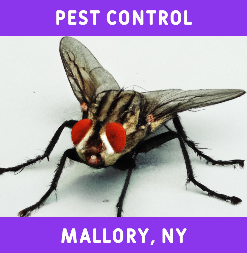 pest control in Mallory New York