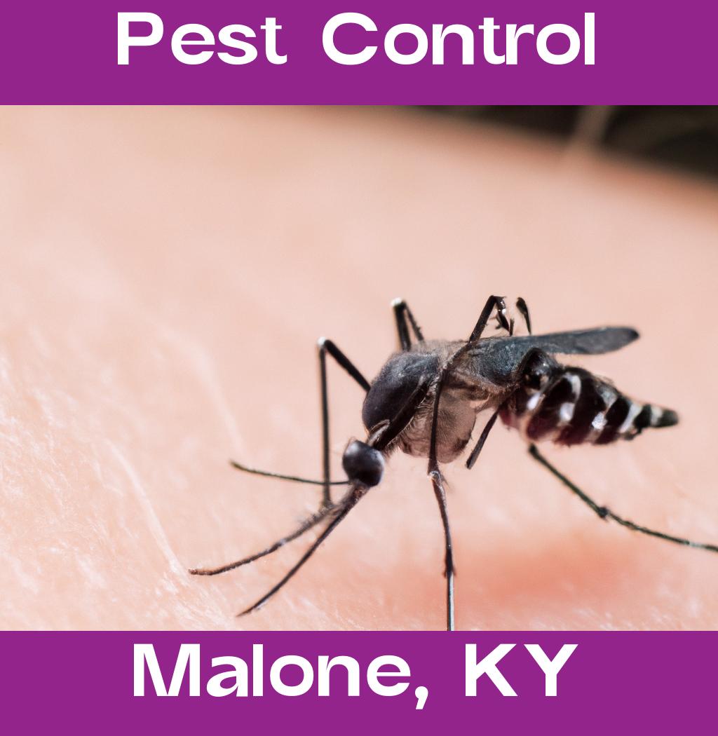 pest control in Malone Kentucky