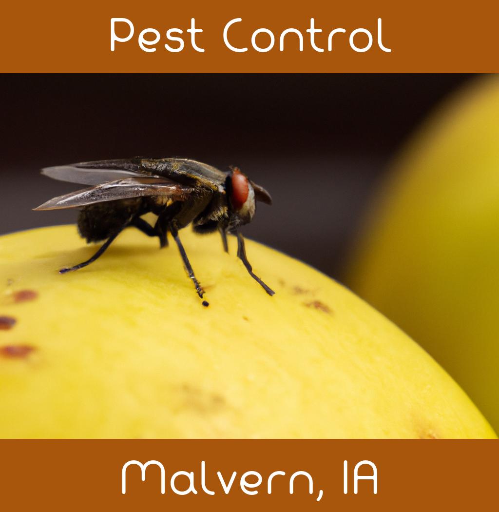 pest control in Malvern Iowa