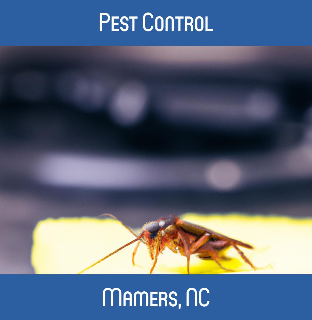 pest control in Mamers North Carolina