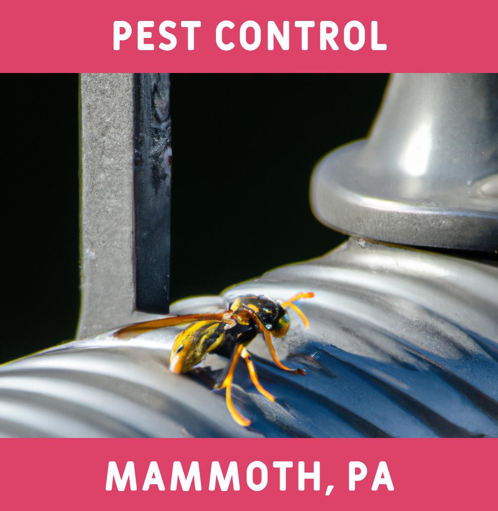 pest control in Mammoth Pennsylvania