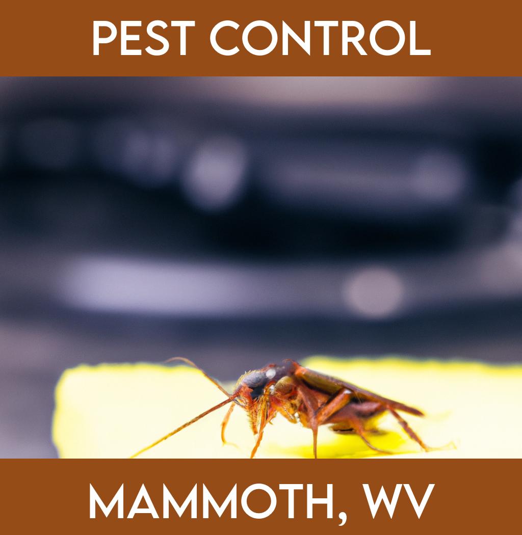 pest control in Mammoth West Virginia