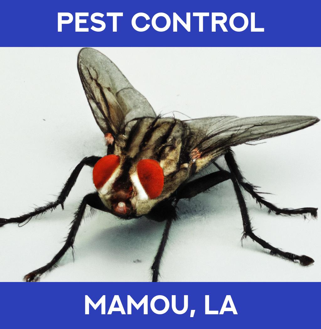 pest control in Mamou Louisiana