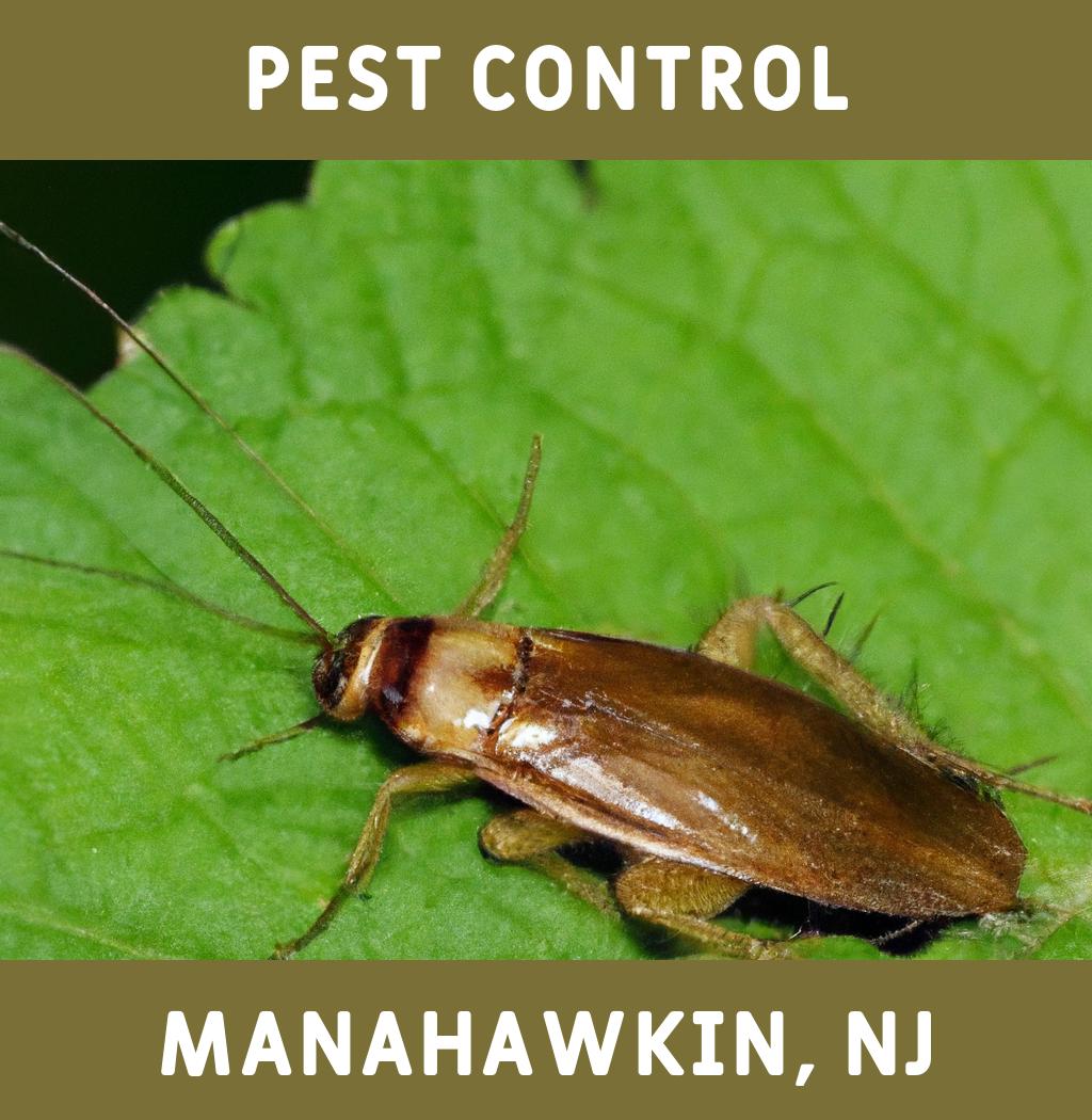 pest control in Manahawkin New Jersey