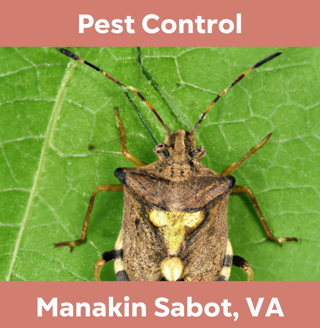 pest control in Manakin Sabot Virginia