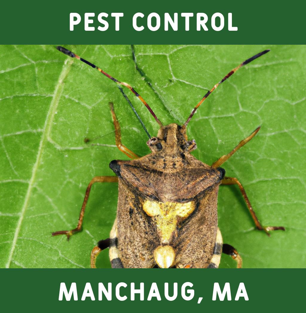 pest control in Manchaug Massachusetts