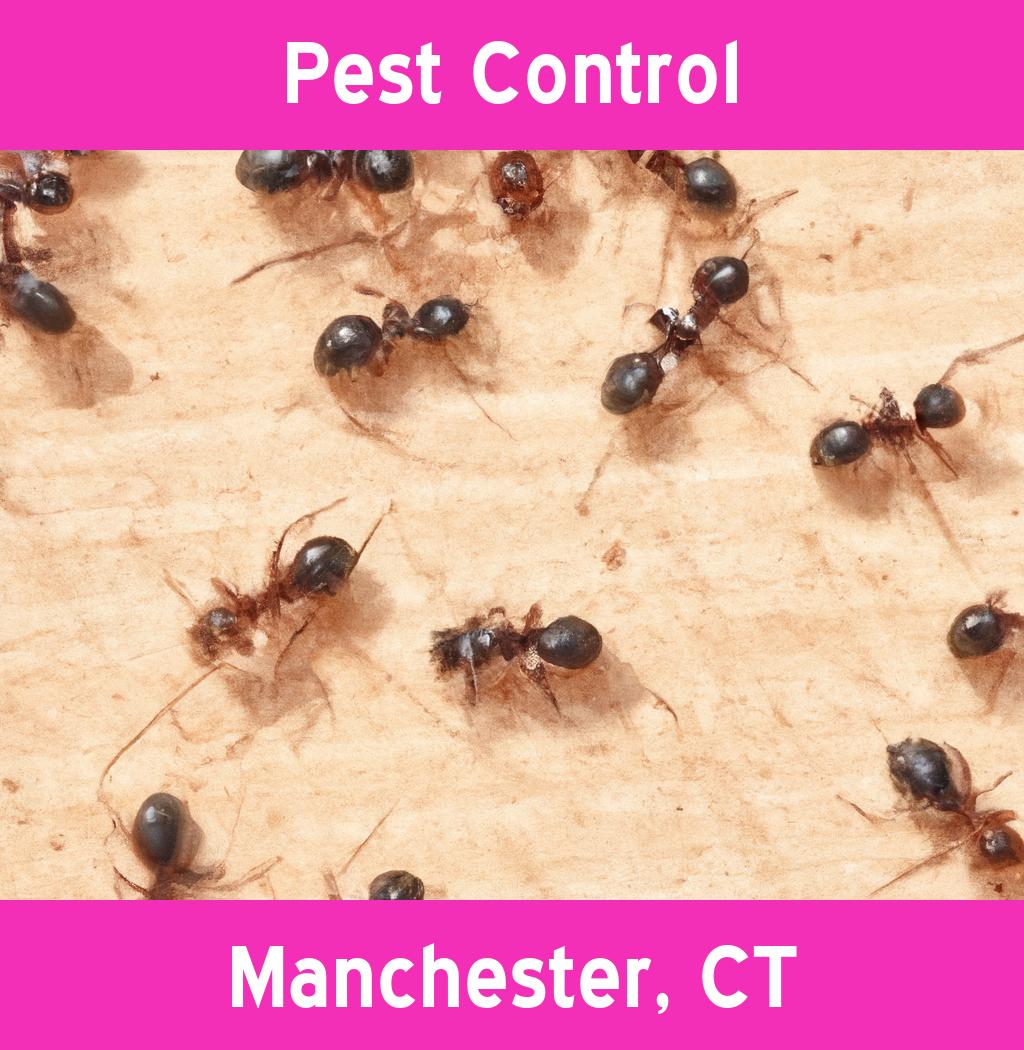 pest control in Manchester Connecticut
