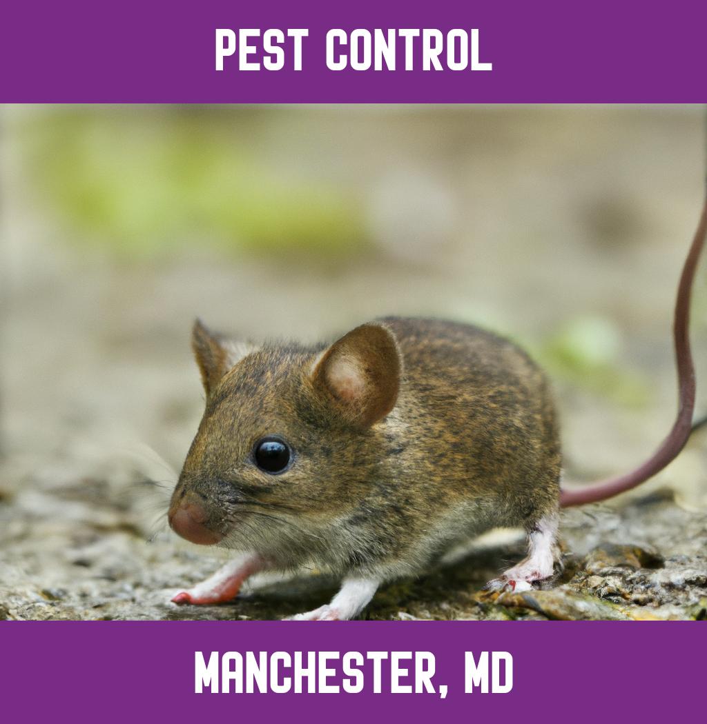 pest control in Manchester Maryland